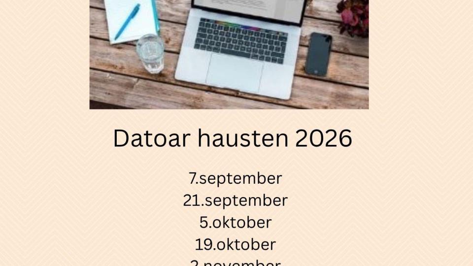 Lenkje til artikkel: Datatreff for seniorar